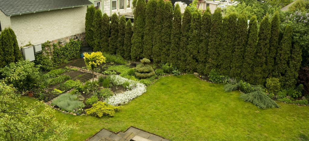 Viktoras Apartments Palanga Dış mekan fotoğraf